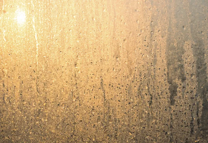 Mini bodegas en arriendo en Colombia